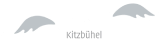 VST-Logo